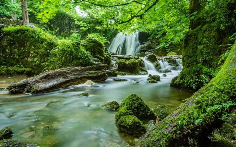 电子高精度先进